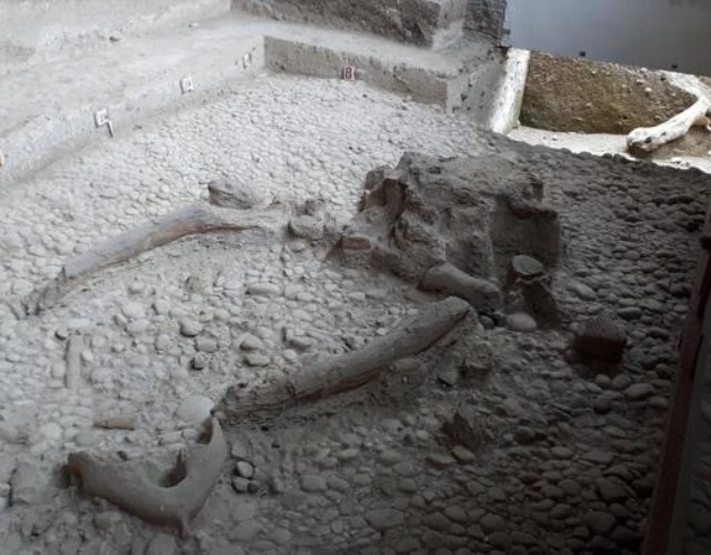 Scoperti in Basilicata i resti del leone delle caverne più antico d’Europa